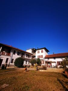 a dog standing in a yard in front of buildings at Villa Sant'Anna, Appartamento con palestra in Trofarello