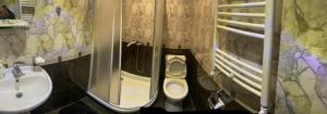 a bathroom with a toilet and a sink at At Roubo's in Tsaghkadzor