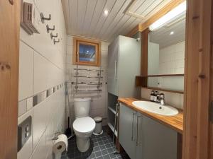 a small bathroom with a toilet and a sink at Villa Vielma in Levi +24 photos