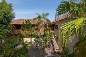 a house with palm trees in front of it at Finca San Diego - Palmeras Apartamento in La Matanza de Acentejo