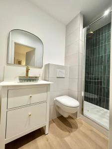 ein Badezimmer mit Toilette, Waschbecken und Spiegel in der Unterkunft M033 superbe studio centre ville in Annemasse