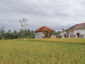 Zahrada ubytování Maha House Mid of Ricefields