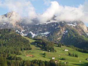 eine Bergkette mit einem grünen Feld und Bäumen in der Unterkunft Haus Bergheimat in Abtenau