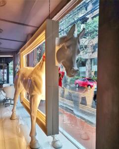 una estatua de una vaca en la ventana de una tienda en Santa Limbania Boutique Hotel, en Santa Cruz de la Sierra