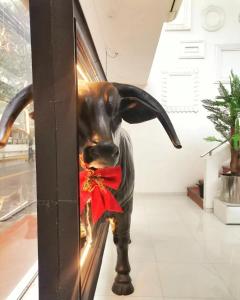 una estatua de un toro con un arco rojo en Santa Limbania Boutique Hotel, en Santa Cruz de la Sierra