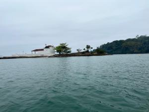 Naturlandskabet i nærheden af båden
