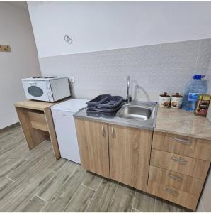 een keuken met een spoelbak en een magnetron bij Apartman Gong in Divčibare +1 foto