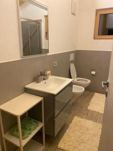 a bathroom with a sink and a toilet and a mirror at Lagorai Suites in Cavalese +30 photos
