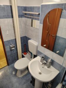 Ένα μπάνιο στο Apartament Rogerius Piata +14 φωτογραφίες