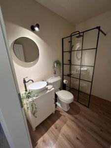 a bathroom with a toilet and a sink and a mirror at Meerliebe in Cuxhaven +17 photos