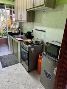 Kuchyň nebo kuchyňský kout v ubytování Solange homes