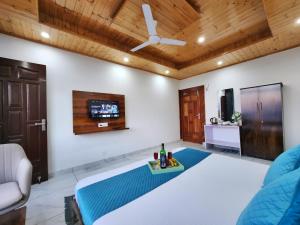 Un televizor și/sau centru de divertisment la Pristine Edge Kasauli