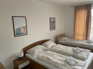 una camera da letto con due letti e una finestra di Novel S&S a Veliko Gradište