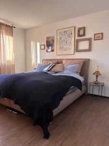 a bedroom with a large bed with a black blanket at Eifeeloft - Eifel erleben in Neroth