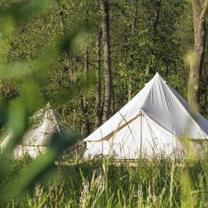 德瓦尔Eco Farm Camping 'de Waeldernis'的相册照片