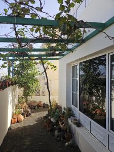 a patio with a window and some plants at Casa Gabriela in Arrieta
