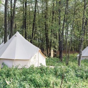 德瓦尔Eco Farm Camping 'de Waeldernis'的相册照片