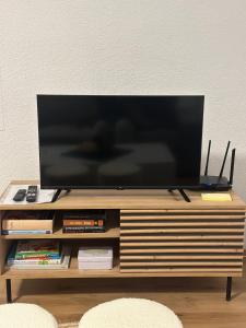 TV a/nebo společenská místnost v ubytování Ferienwohnung Wolkenstein