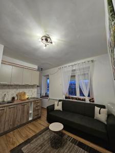 a living room with a couch and a kitchen at Apartman Begovic in Kolašin