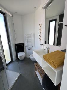 a bathroom with a sink and a toilet and a mirror at Private Front Beach Villa with garden and garage in Antibes +14 photos