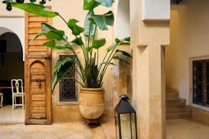 Foto dalla galleria di Riad Nomada Marrakech a Marrakech