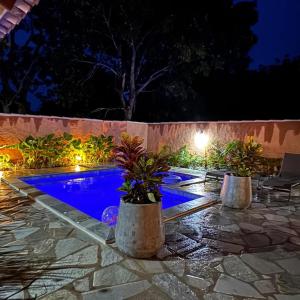 a swimming pool at night with two potted plants at Pousada Renascer Park in Pirenópolis