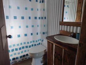 Un baño con inodoro, lavabo y espejo. en Cabaña Canto del Zorzal, en Villarrica 28 fotos más