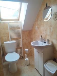 a bathroom with a toilet and a sink at Drevenica u Holtana in Oščadnica
