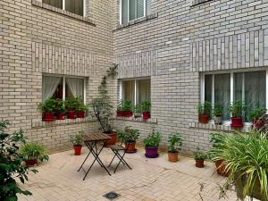 Ein Backsteingebäude mit einem Haufen Topfpflanzen in der Unterkunft Apartamento en Oviedo in Oviedo