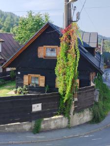a house with ivy growing on the side of it at Drevenica u Holtana in Oščadnica