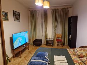 TV a/nebo společenská místnost v ubytování Kaunas Center Apartment