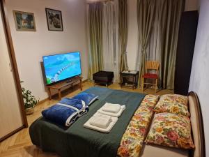 Postel nebo postele na pokoji v ubytování Kaunas Center Apartment