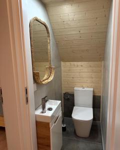 a small bathroom with a toilet and a mirror at Domki Lawendowe in Sasino +44 photos