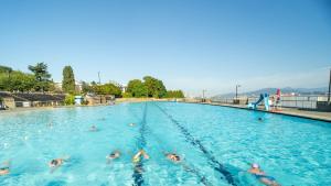 a group of people swimming in a swimming pool at Small Private Studio at Kitsilano Beach in Vancouver