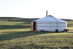 a yurt sitting in the middle of a field at Nomad Equestrian Stable in Dzuunmod