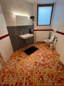a bathroom with a sink and a toilet in a room at Ferienwohnung Hohenweiler in Hohenweiler