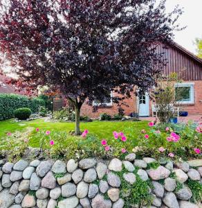 a tree in front of a house with pink flowers at OstseeLiebe Garten, Terrasse und Strandnähe in Wendtorf