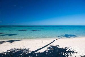 a shadow of a palm tree on a beach at Villa Bora Bora - on Matira in Bora Bora +4 photos