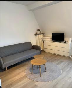 TV a/nebo společenská místnost v ubytování Apartment City und Stadionnah