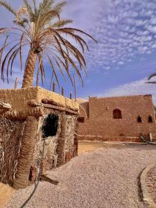 Fotografie z fotogalerie ubytování Siwa Lodge v destinaci Siwa + 12 fotografií
