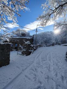 Hors's Home зимой