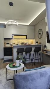 Кухня или мини-кухня в VIRTUS apartmani Vrnjačka Banja centar
