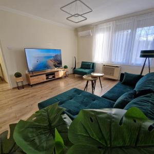 TV a/nebo společenská místnost v ubytování Central Greatforest Apartman