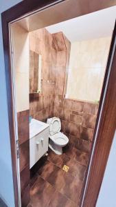 een badkamer met toilet en wastafel bij Cozy Suite Vitosha street Center in Sofia +3 foto's