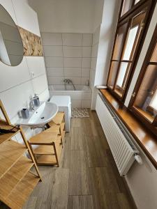 a bathroom with a sink and a bath tub at Stylový apartmán u Velkého náměstí 2, Wi-Fi, Netflix, vana in Hradec Králové