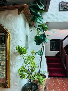 Fotografie z fotogalerie ubytování Hotel Goldener Taler Lörrach v destinaci Lörrach