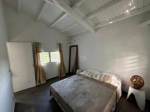 a bedroom with a large bed and a window at L'O - Au cœur de la Grande-Terre - T2 in Morne-à-lʼEau