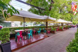 Zahrada ubytování Tagle Hotel Boutique + 36 fotografií