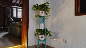 Imagen de la galería de Casa Cecilia, en Los Silos