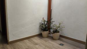 Imagen de la galería de Casa Cecilia, en Los Silos